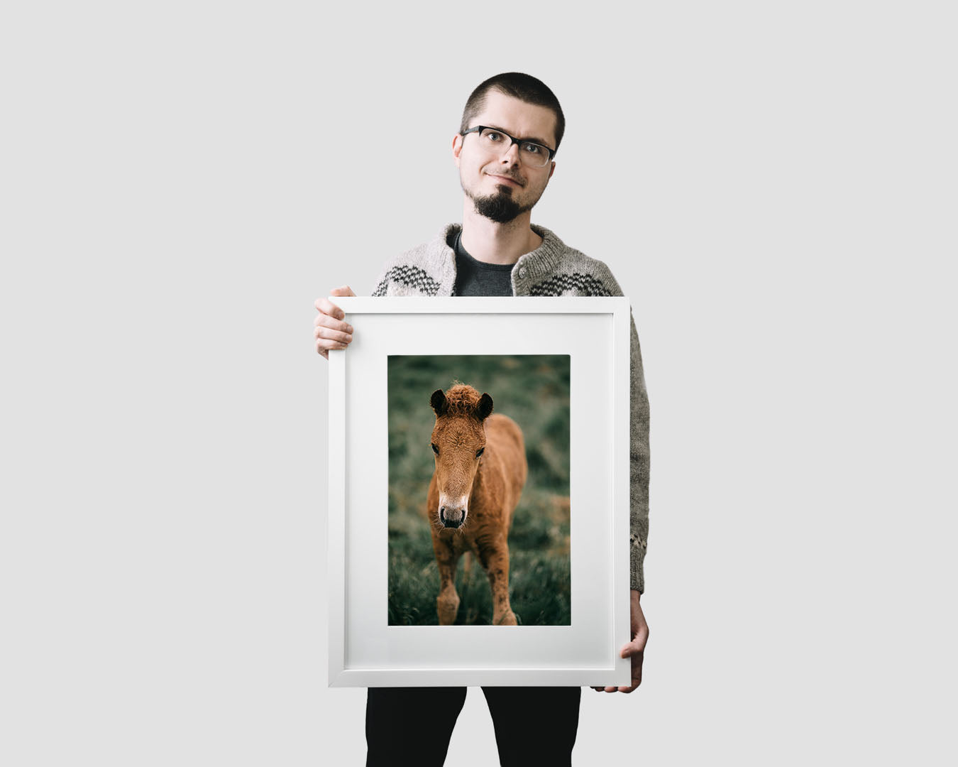 Icelandic horse wall art featuring a lovely foal