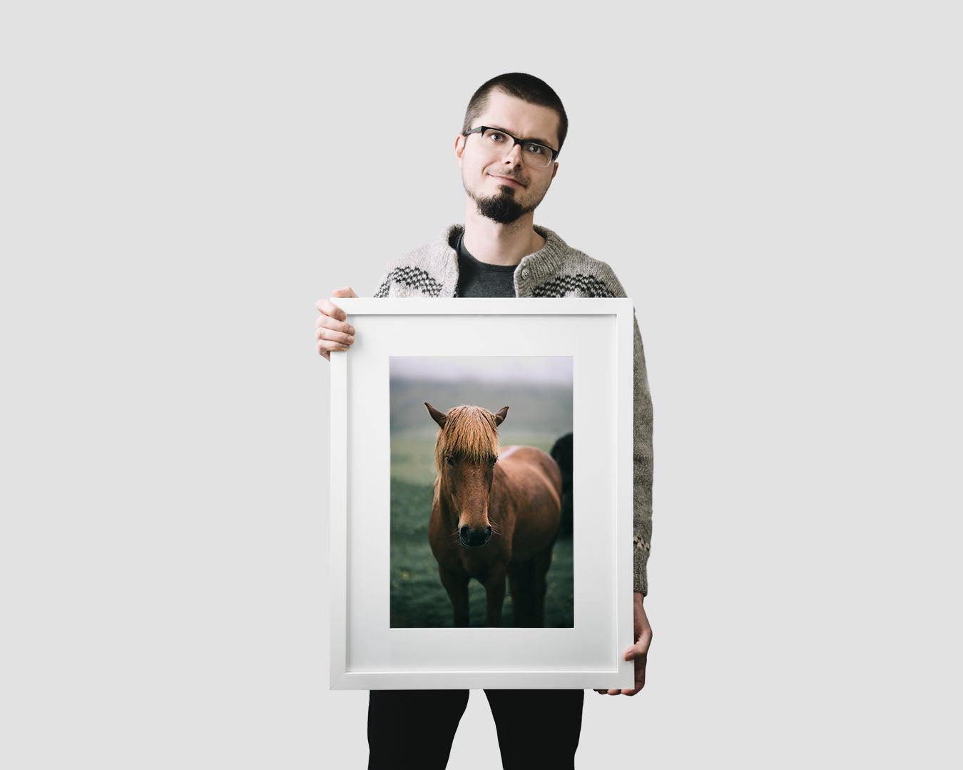 Icelandic horse wall art