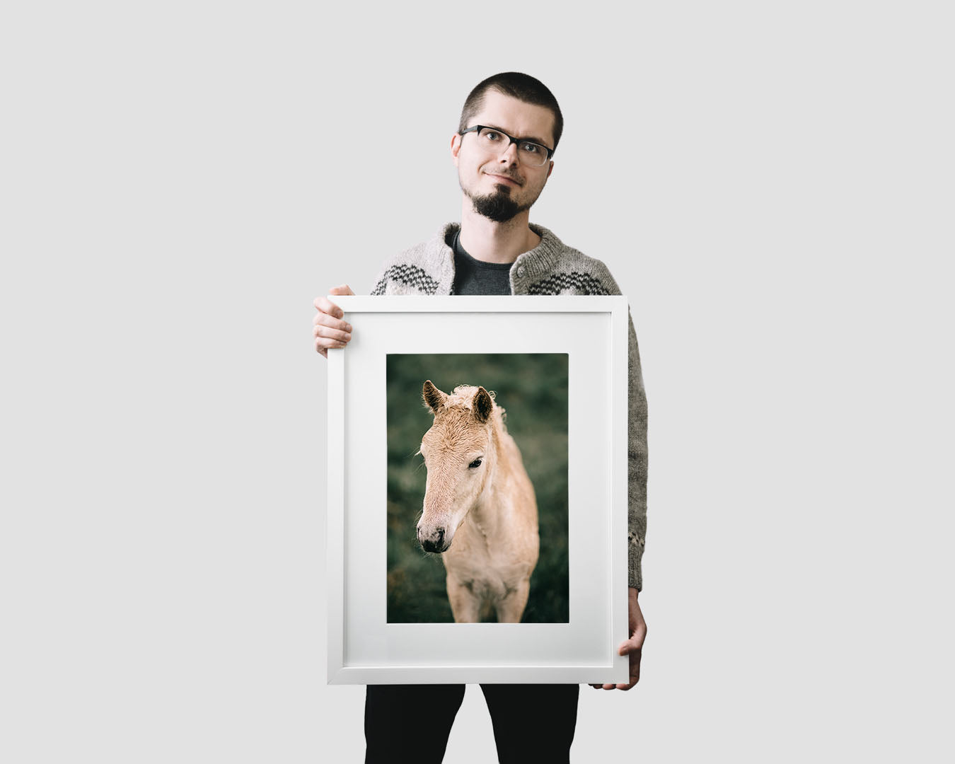 Icelandic horse wall art featuring a lovely foal