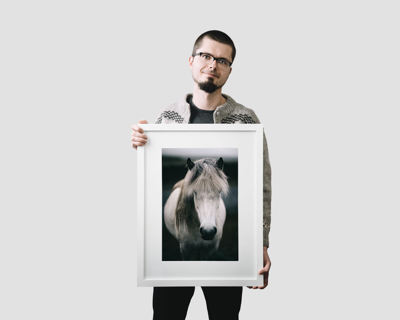 Icelandic white horse wall art