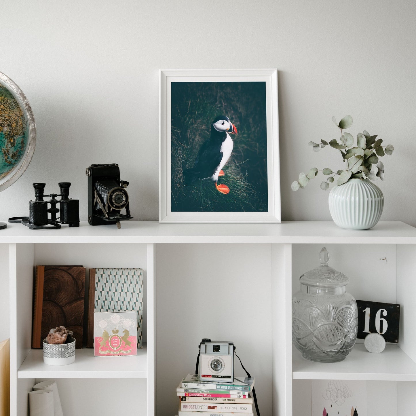 Icelandic Puffin in Borgarfjörður