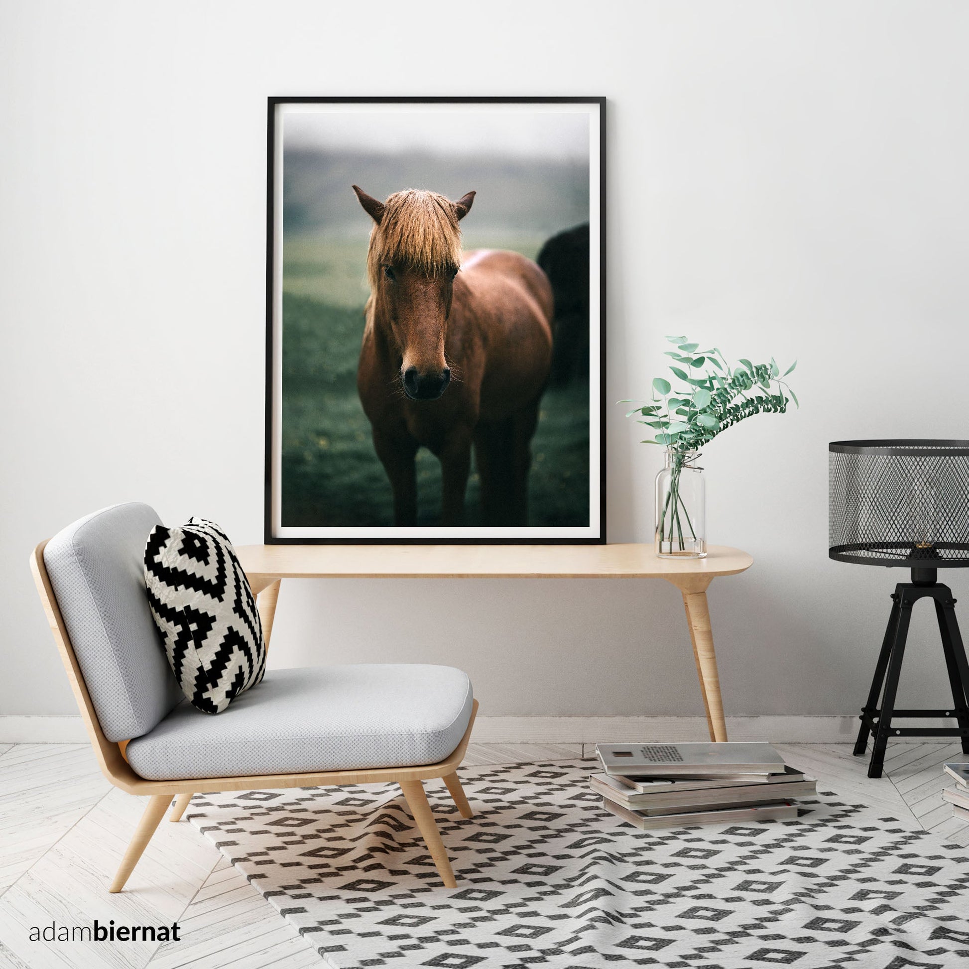 Modern Farmhouse Home Decor - Icelandic Horse Photography Print