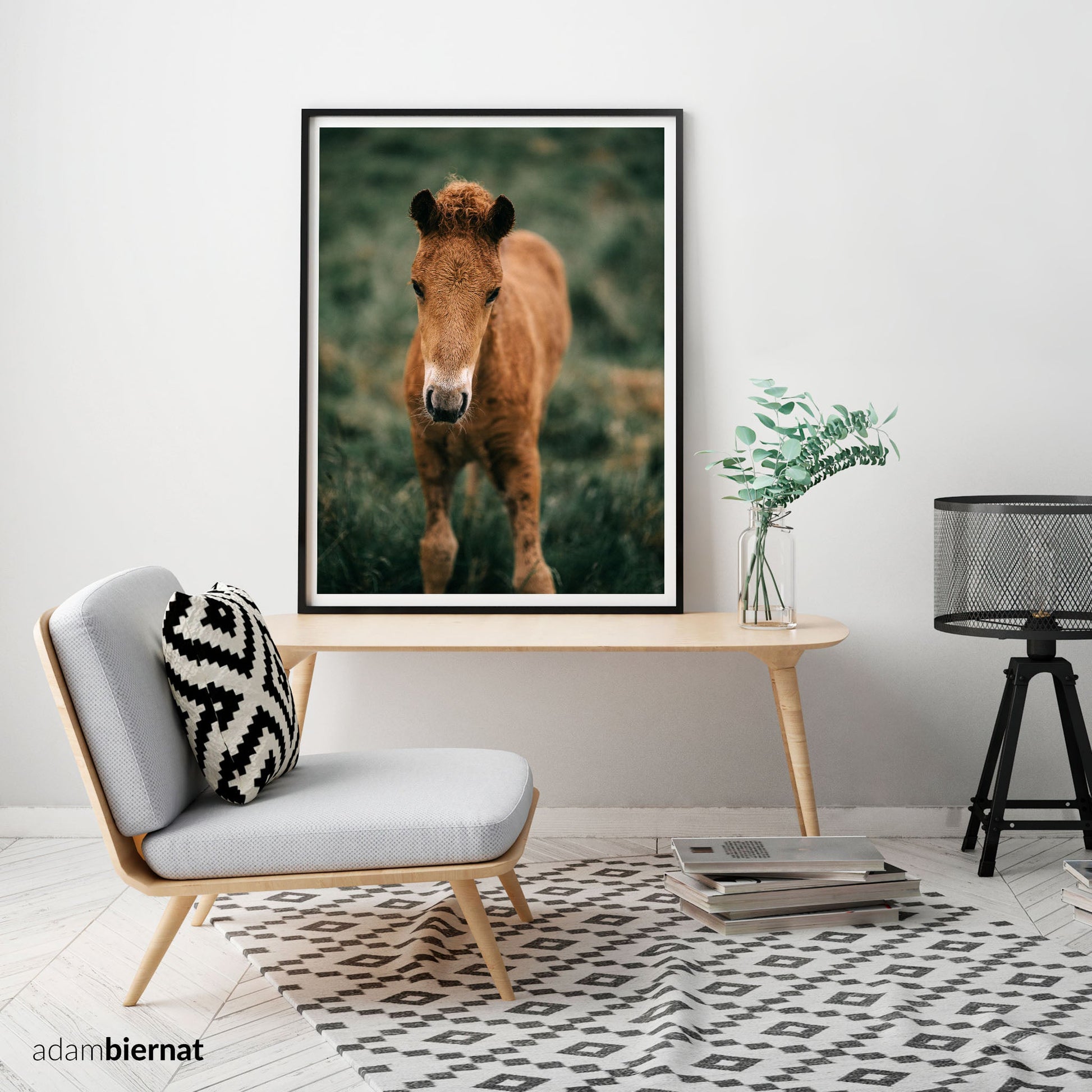 Modern Farmhouse Home Decor - Icelandic Horse Photography Print